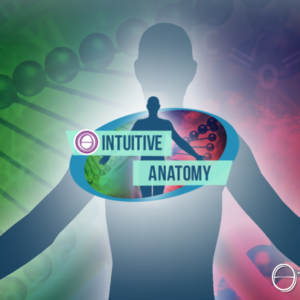 ThetaHealing - Anatomie Intuitive